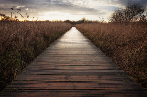 The boardwalk at Cosmeston Lakes Country Park, situated between Penarth and Sully in the Vale of Glamorgan, South Wales, UK