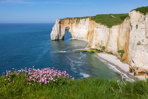 Etretat Falaise d'Aval picturesque seascape view point with flowers on the cliffs in Normandy, France Natural amazing cliffs. Etretat, Normandy, France