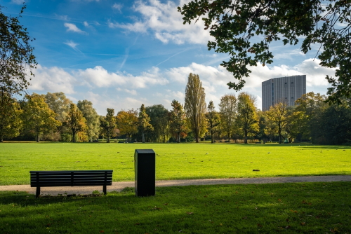 A bench overlooking the big grass field in Flevopark in Amsterdam, Holland, on an Autumn day