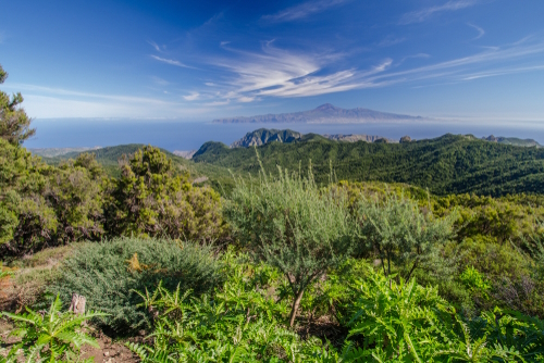 Amazing green view from Garajonay towards Tenerife, Garajonay National Park, La Gomera Island, The Canary Islands, Spain