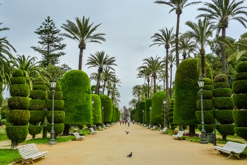 Beautiful topiaries at Genoves Park in Cadiz, Andalusia, Spain