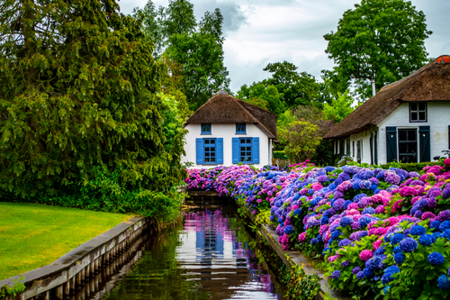 Tranquil view of the village of Giethoorn in the Netherlands, with beautiful rural houses, water canals and colorful flowers, near Amsterdam, Holland