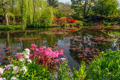 Beautiful lily pond in spring in Claude Monet's garden, flowers and plants reflected in the water. Giverny, Normandy France