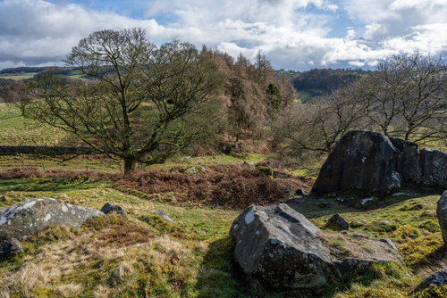 View of the Robin Hood's Stride limestone way rock formation in the Peak District National Park, Derbyshire, England, United Kingdom
