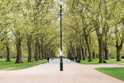 Beautiful view of Spring in Hyde Park, London, England, United Kingdom