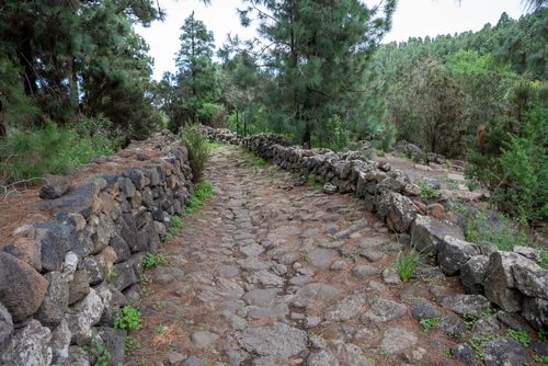 Rocky hiking trail leading to Cueva del Viento in Icod de los Vinos, Tenerife Island, The Canary Islands, Spain