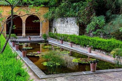 Moorish garden with a Pool with water lily in the France. Jardin Serre de la Madone, with rare plantings, Summer. Menton in the French Riviera, Cote d'Azur, France