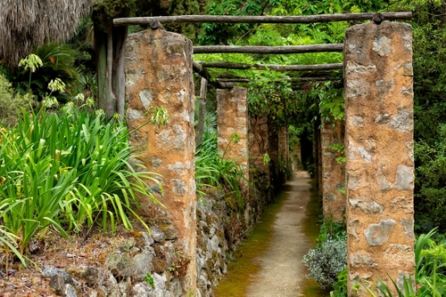 Old Pergola and pathway of the French garden, Jardin Serre de la Madone, with rare plantings, Summer. Menton in the French Riviera, Cote d'Azur, France