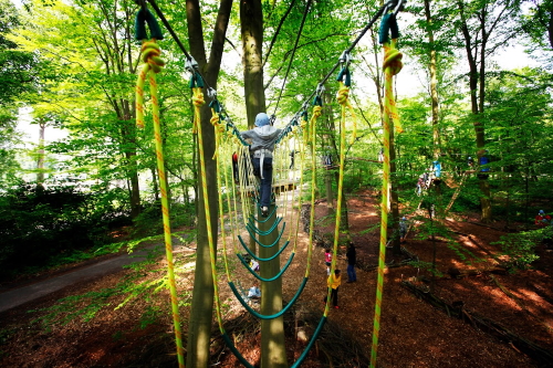 A kid walking on a rope bridge in the Klimpark Fun Forest Adventure Park near Amsterdam, Holland