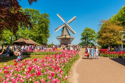 People walking around the Garden complex with a windmill in the background at the Keukenhof Gardens complex in Lisse, South Holland, The Netherlands on a Spring day. Keukenhof is one of the world's largest flower gardens.