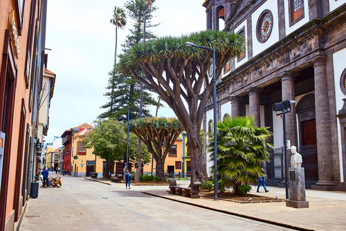 Senora de La Concepcion in the old capital of Tenerife, La Laguna, Tenerife Island, The Canary Islands, Spain