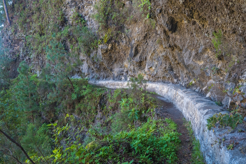 Narrow hiking trail Barranco de la Madera from Las Nieves Nature Park with pine tree forest and path along ravine with steep green mountains, La Palma Island, The Canary Islands, Spain
