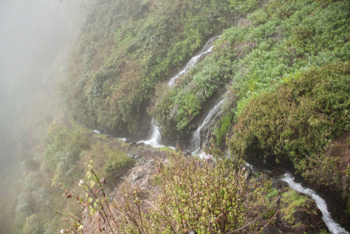 Nacientes Marcos y Cordero, beautiful trail on the island La Palma, going along water duct in Los Tilos Nature Reserve, La Palma Island, The Canary Islands, Spain