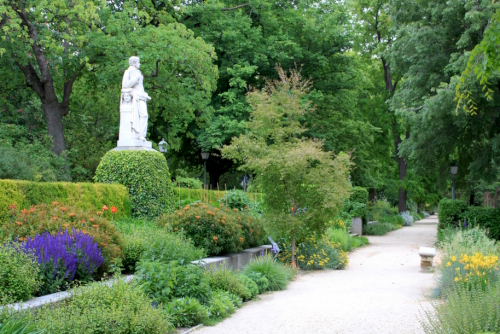 Detail of the lush green Royal Botanical Garden of Madrid (Real Jardin Botanico), Spain
