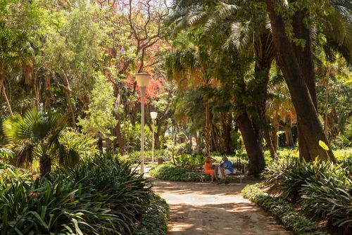 City Park with Botanical Gardens, Paseo del Parque in Málaga, Andalusia, Spain