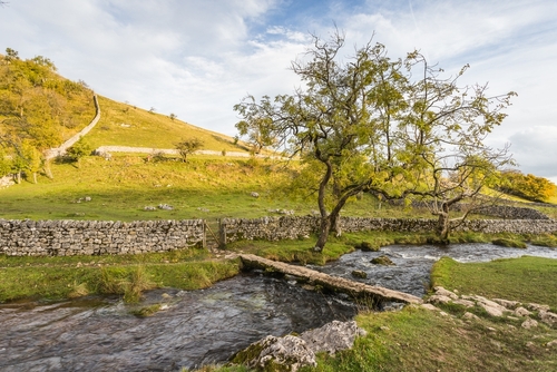 A narrow bridge spans the Malham Beck near Malham Cove in the Yorkshire Dales National Park in Autumn, Yorkshire, England, UK