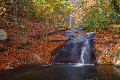 Stream and landscape of Santa Fe valley in Montseny Natural Park in Autumn, chestnut, beech and oak forest near Barcelona, Catalonia, Spain