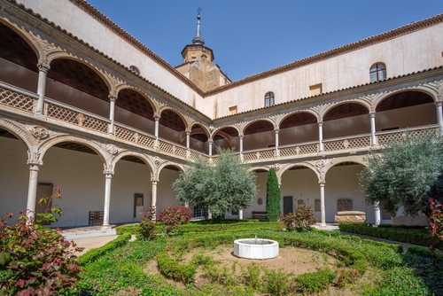 Beautiful greenery at the Santa Cruz Museum Courtyard in Toledo, Castilla La Mancha, Spain