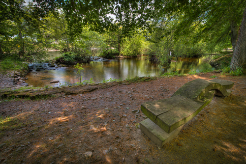 Bench on Ness Islands with a pond in the background in Inverness, Scotland, United Kingdom