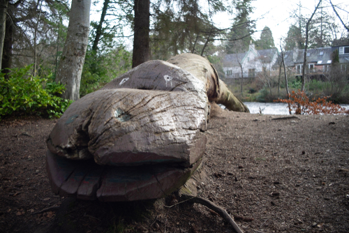 Loch Ness monster made out of a log on ness islands, Inverness, Scotland, UK