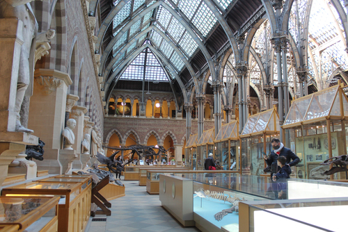 The Oxford Museum of Natural History and the Pitt Rivers Museum in Oxford, Oxfordshire, England, United Kingdom