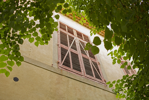 Detail From Atelier Cezanne in Aix-en-Provence, Provence, France