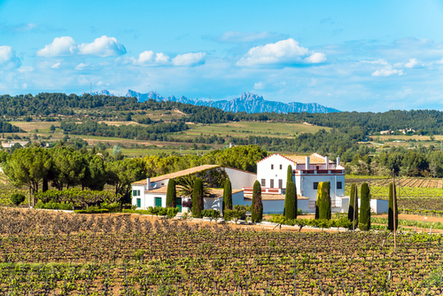 A cellar at Penedes wine region with Montserrat mountains in the distance, Catalonia, Spain