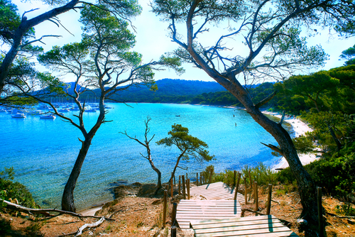 View of the beach at Porquerolles Island and National Park near Saint Tropez in the French Riviera, Cote d'Azur, France