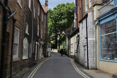 View of a street in Robin Hood's Bay, North York Moors National Park, Yorkshire, England, United Kingdom