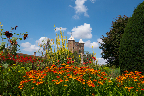 Beautiful flowers at Sissinghurst Castle Garden, Kent, England, United Kingdom