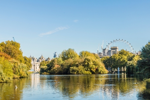A view of St. James's Park lake and the London Eye in the background in St. James's Park, London, England, United Kingdom