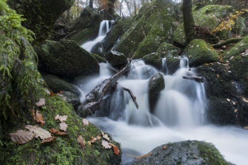 The Stock Ghyll Force waterfall in Ambleside, the Lake District National Park, Cumbria, England, UK