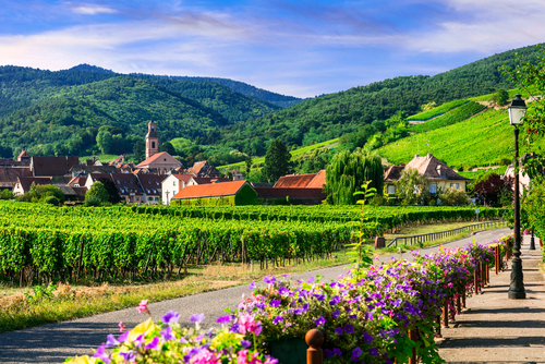 Picturesque countryside of Alsace region, famous 