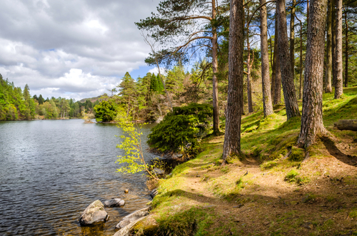 Beautiful view of Tarn Hows, a small lake in the Lake District National Park, Cumbria, England, UK