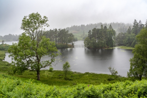 Beautiful view of Tarn Hows, a small lake in the Lake District National Park, Cumbria, England, UK