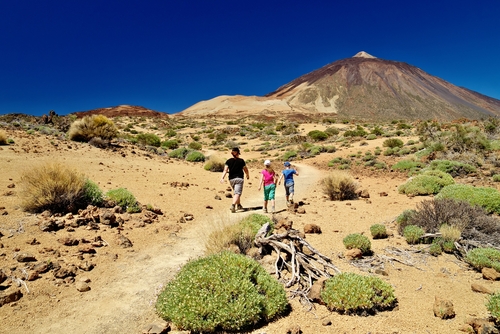 A family hiking through Teide National Park on a clear and Sunny day, Tenerife island, The Canary Islands, Spain
