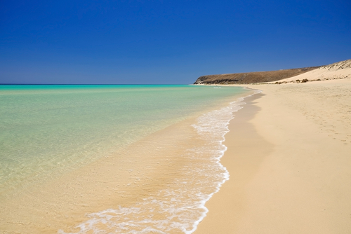 View of the beach Sotavento with golden sand and crystal sea water of amazing colors on Costa Calma on the island of Fuerteventura, The Canaries, Spain