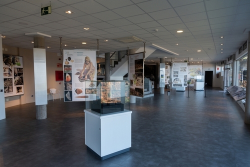 Historical museum El Tendal at San Juan, La Palma Island, The Canary islands, Spain