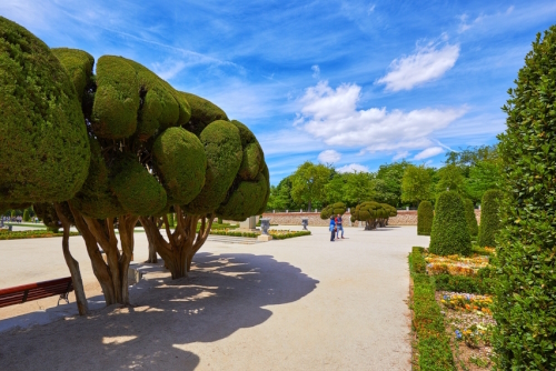 Decorated topiary at the Buen Retiro Park, one of the largest parks of the city of Madrid, Spain