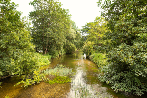 Landscape greenery river scene of Colne Valley regional park near London, England, United Kingdom