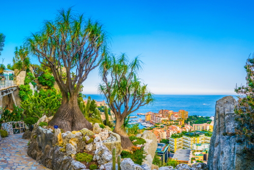 A beautiful view of the Exotic Garden of Monaco (Jardin Exotique de Monaco), Monaco, Cote d'Azur, France