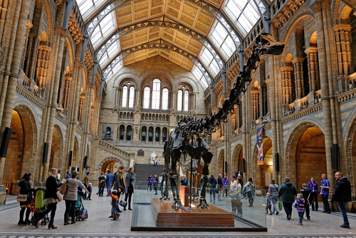 Dinosaur skeleton in a main hall of the Natural History Museum of London, England, United Kingdom