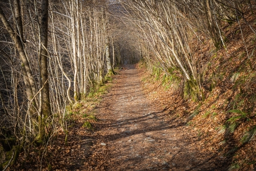 Three miles north of Pitlochry by the A9 road, the Pass of Killiecrankie, is a gorge lying between Ben Vrackie and Tenandry Hill, Cairngorms National Park, Scotland, UK