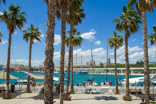 Boulevard in Malaga port, Malaga, Andalusia, Spain. Pier 1 'Muelle Uno' the promenade with palm trees in Málaga port. In the background the city center of Malaga with the tower of the Cathedral