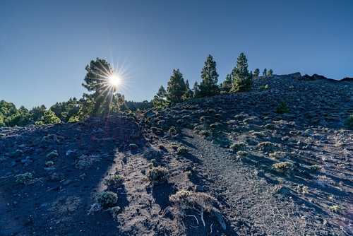 Ruta de Los Volcanes (Volcano route), landscape along the long-range popular hiking route, Fuencaliente, La Palma Island, The Canary Islands, Spain