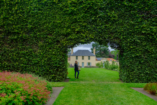 View of a woman standing at the opening in a long bush fence at the Royal Botanic Garden in Edinburgh, Scotland, United Kingdom