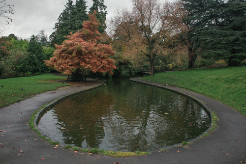 Royal Victoria Park fish pond during a grey day in Autumn, with the trees in a background in a multitude of colours, Bath, Somerset, England, United Kingdom