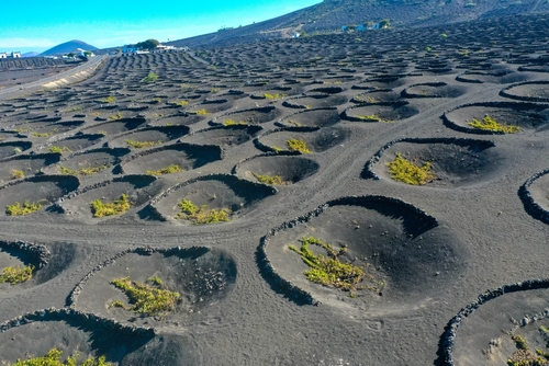 Aerial view of wine growing district of la geria, Tratitional culitvation of vines in a lava field near Timanfaya national park, Lanzarote Island, The Canary Islands, Spain