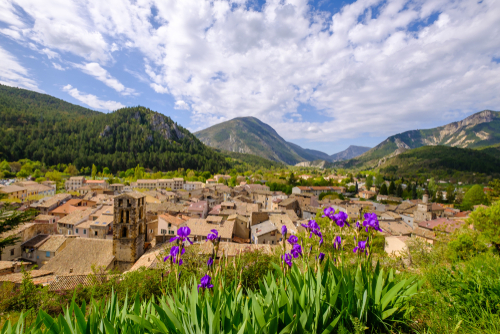 Panoramic view of the village of Castellane. Alpes de Haute Provence, France. Spring, Iris flowers in the foreground