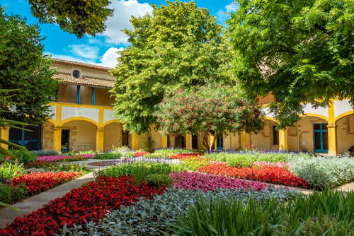The courtyard garden at the 